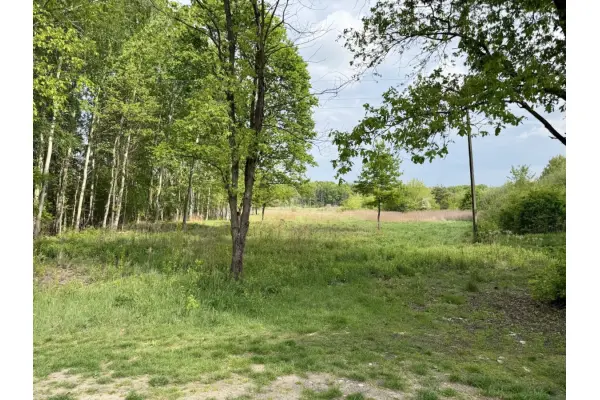mazowieckie, powiat pruszkowski, Komorów, Polna, KOMORÓW budowlana nad rzeką: cisza, przyroda i las
