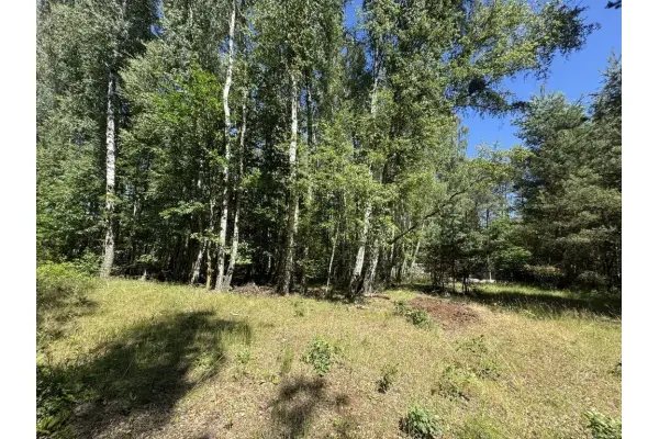 mazowieckie, powiat żyrardowski, Adamów-Parcel, Ogarów Polskich, Działka budowlana 2620m² z MPZP 20km od CH Janki