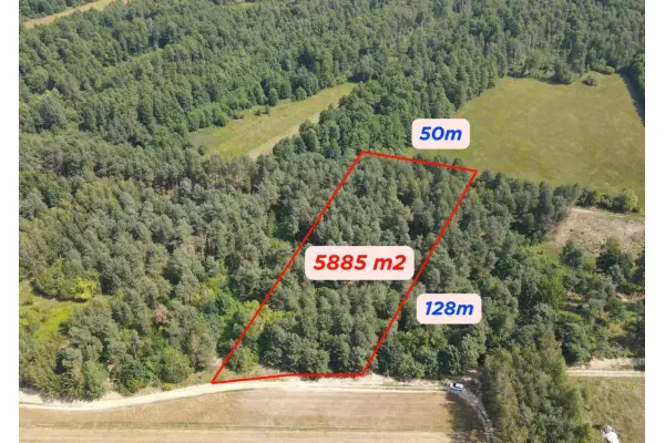mazowieckie, powiat kozienicki, Dziecinów, Dziecinów | działka rolna 5 885 m² | spokojna, zie