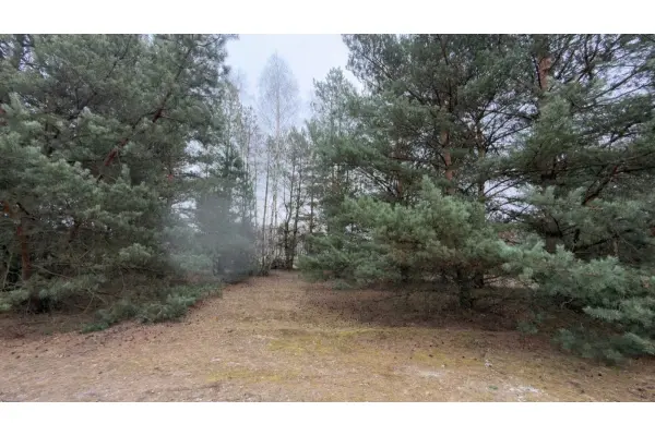 mazowieckie, powiat żyrardowski, Puszcza Mariańska, Michałów - urokliwa działka budowlana 5500 m2