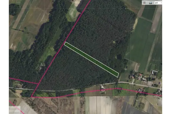 mazowieckie, powiat sochaczewski, Justynów, Działka leśna 1,5 ha w Justynowie