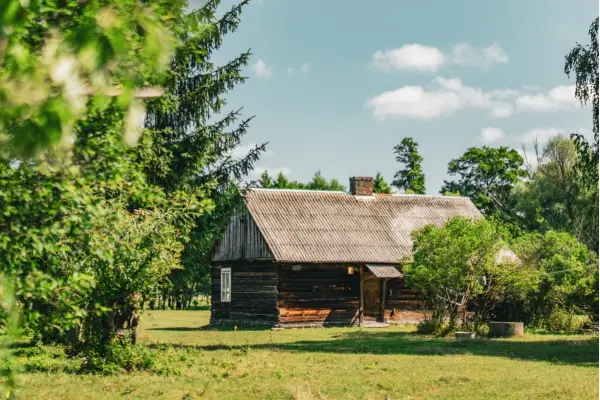 mazowieckie, powiat węgrowski, Bednarze, Siedlisko do remontu w okolicach rzeki Liwiec