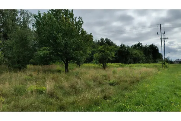 mazowieckie, powiat warszawski zachodni, Wiejca, Okazja gm.Kampinos 3 działki budowlane