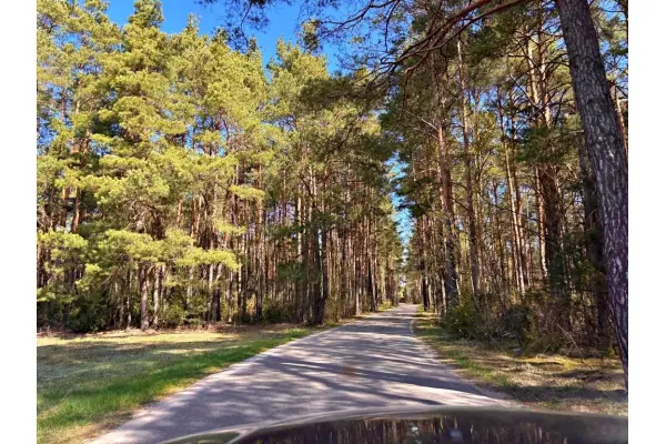 mazowieckie, powiat wyszkowski, Kalinowo, Działki w Kalinowie, Gmina Długosiodło