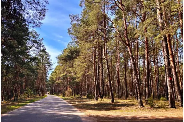 mazowieckie, powiat wyszkowski, Kalinowo, Działki w Kalinowie, Gmina Długosiodło