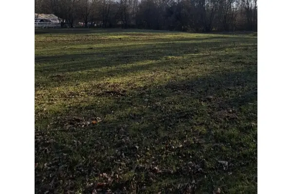 mazowieckie, powiat lipski, Tomaszówka, Działka rolna w pięknej okolicy!