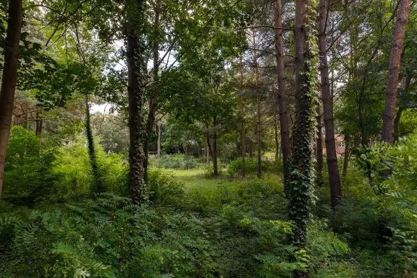 mazowieckie, powiat piaseczyński, Konstancin-Jeziorna, Działka budowlana 3286 m² | Konstancin-Jeziorna