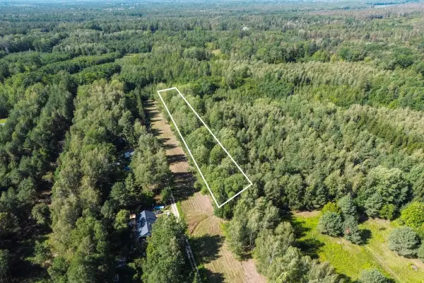 mazowieckie, powiat piaseczyński, Chojnów, Działka budowlana wśród lasów Chojnów
