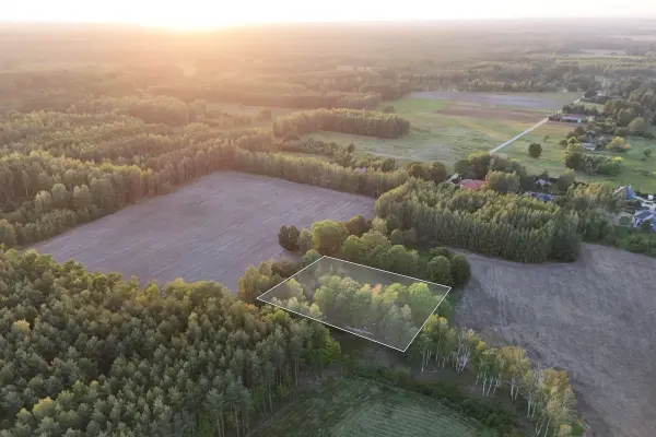 mazowieckie, powiat żyrardowski, Tomaszew, Siedlisko na skraju lasu, 3700 m², gm. Wiskitki