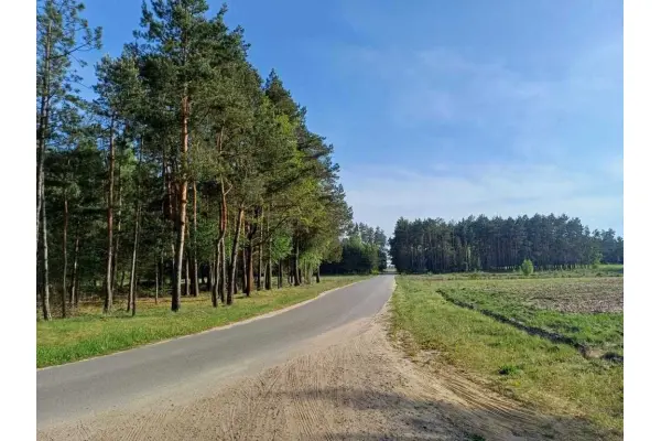 mazowieckie, powiat garwoliński, Gocław, Dziaka rolno budowlana Gocaw gmina Pilawa