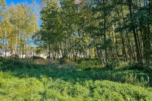 powiat grodziski, mazowieckie, Działka na sprzedaż