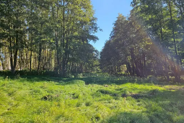 powiat grodziski, mazowieckie, Działka na sprzedaż