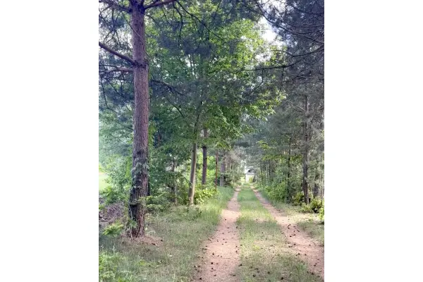 powiat miński, mazowieckie, Działka na sprzedaż