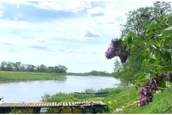 powiat wyszkowski, mazowieckie, Działka na sprzedaż