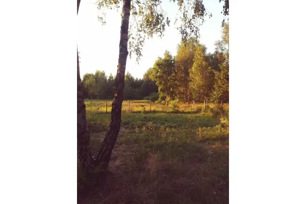 powiat miński, mazowieckie, Działka na sprzedaż